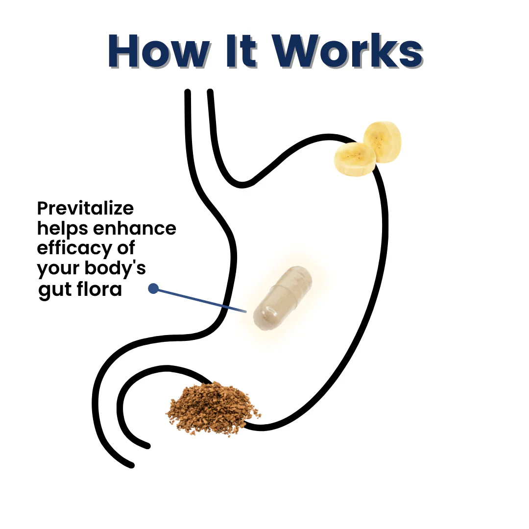 Previtalize | Daily Digestive Support Prebiotic (AU) - Image 2