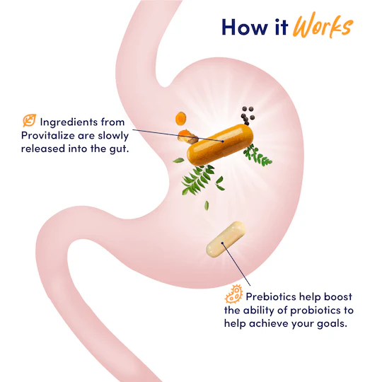 Slim Gut Bundle Subscription - Image 4